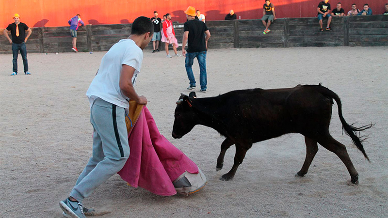 Capea-despedida-de-soltero-salamanca